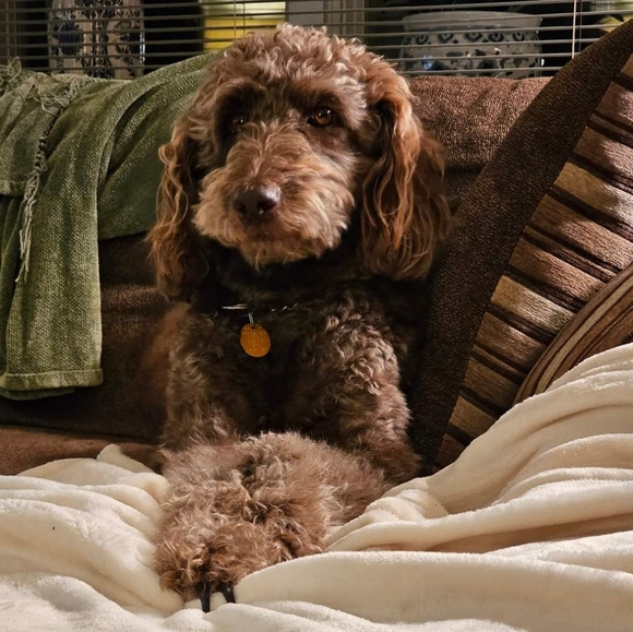 Meet your Posher, Noreen - Picture 5 of 7